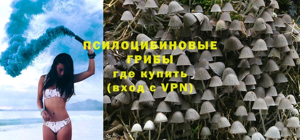 трава Нязепетровск