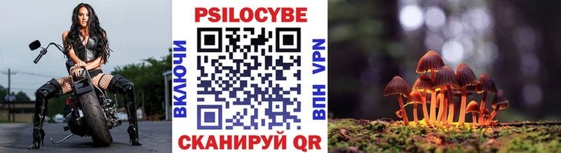 где купить наркоту  Таганрог  Галлюциногенные грибы мицелий 