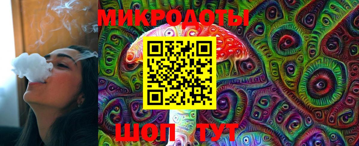 Псилоцибиновые грибы Cubensis  Таганрог 