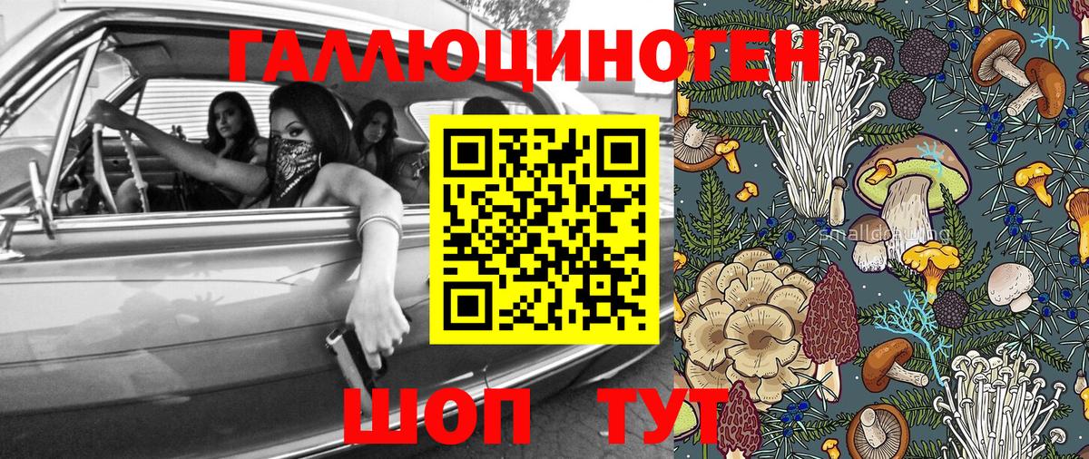 Галлюциногенные грибы мицелий Таганрог