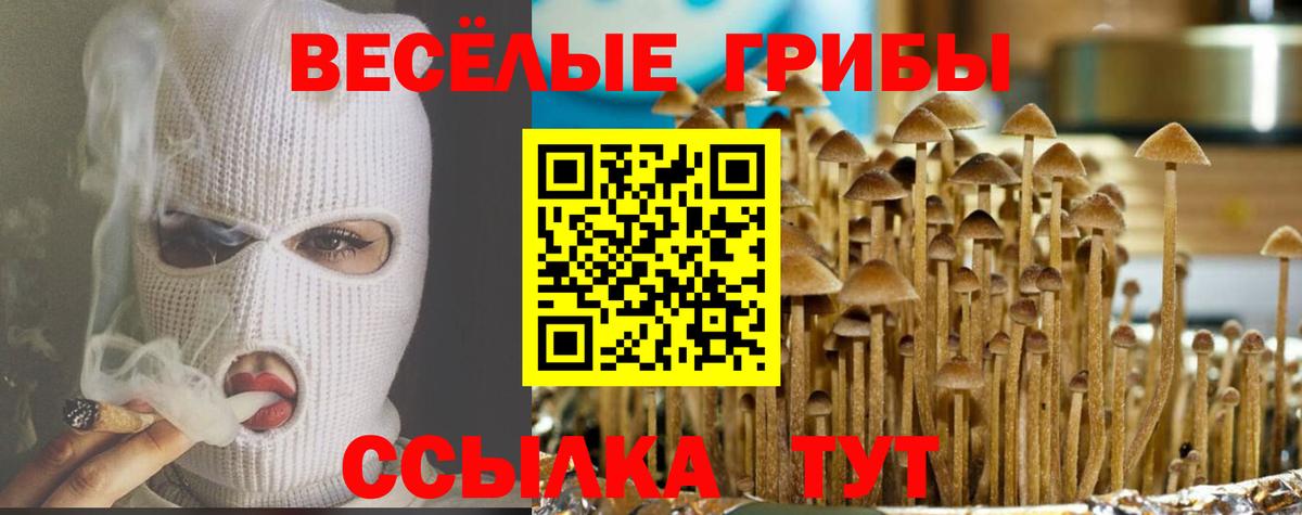 Псилоцибиновые грибы GOLDEN TEACHER  Псилоцибиновые грибы ЛСД  Таганрог  Вход с VPN 